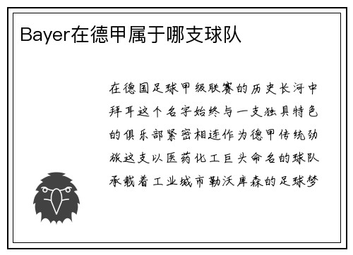 Bayer在德甲属于哪支球队
