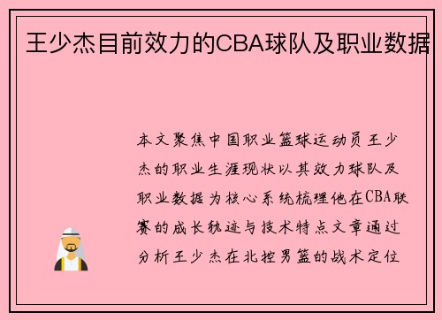 王少杰目前效力的CBA球队及职业数据
